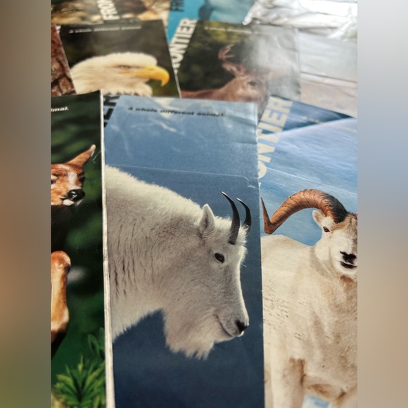 Collectable 13 Frontier Airlines Ticket Jacket Set - Picture 9 of 11